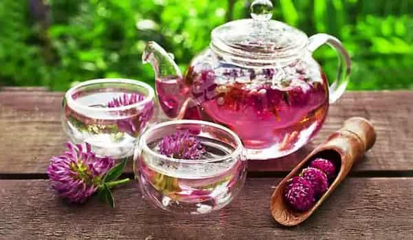 تصویر 5 از قیمت خرید عرق خارمریم پامچال با فروش عمده